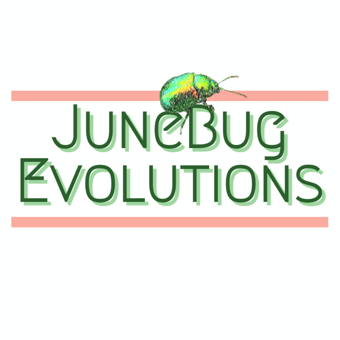 JuneBug Evolutions